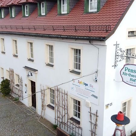 Отель Alt Coswigerhof Косвиг Экстерьер фото