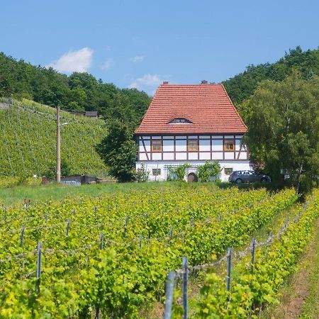 Отель Alt Coswigerhof Косвиг Экстерьер фото