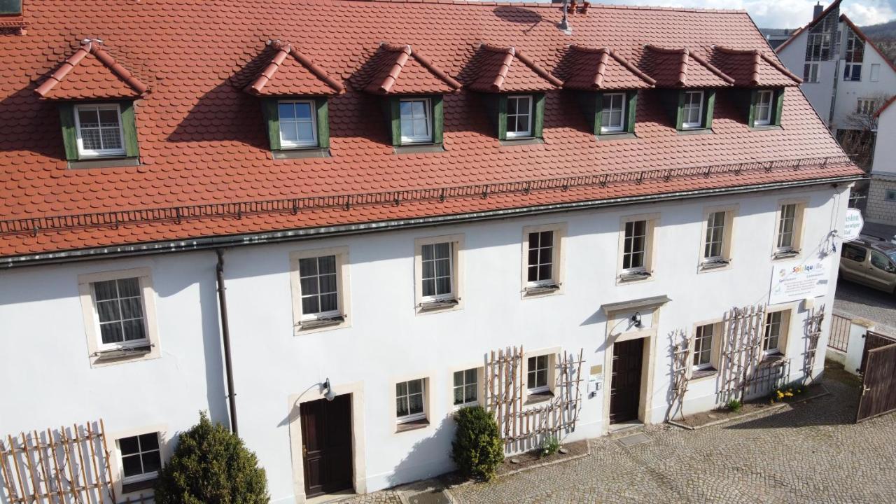 Отель Alt Coswigerhof Косвиг Экстерьер фото